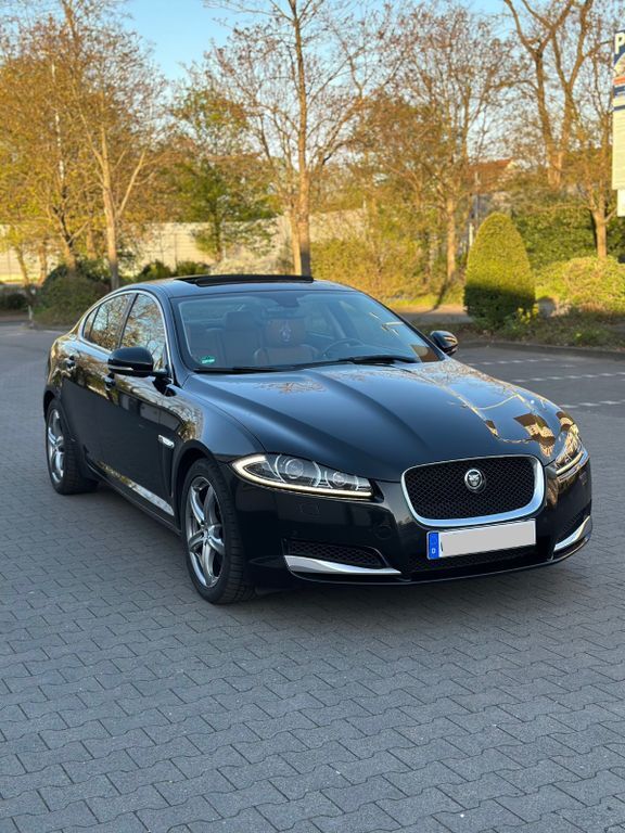 XF