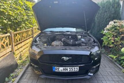 Ford Mustang 66.500 km 18.999 &euro; Marl 45772