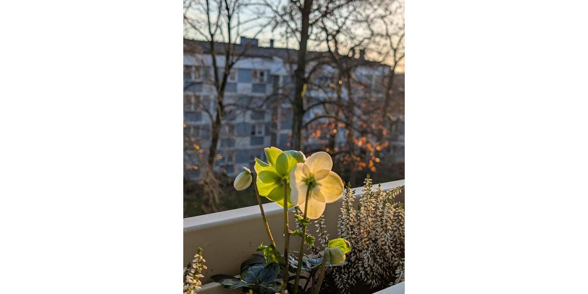 Etagenwohnung Dorsten - 3.5 Zimmer, 87 m&sup2;, 690&euro; | Angebot:25457236