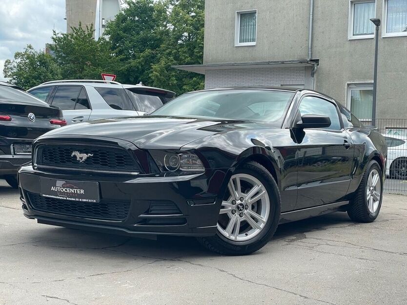 Mustang