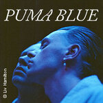 Puma Blue