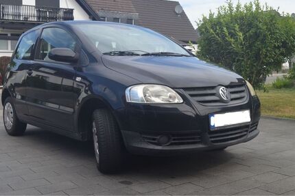 VW Fox
