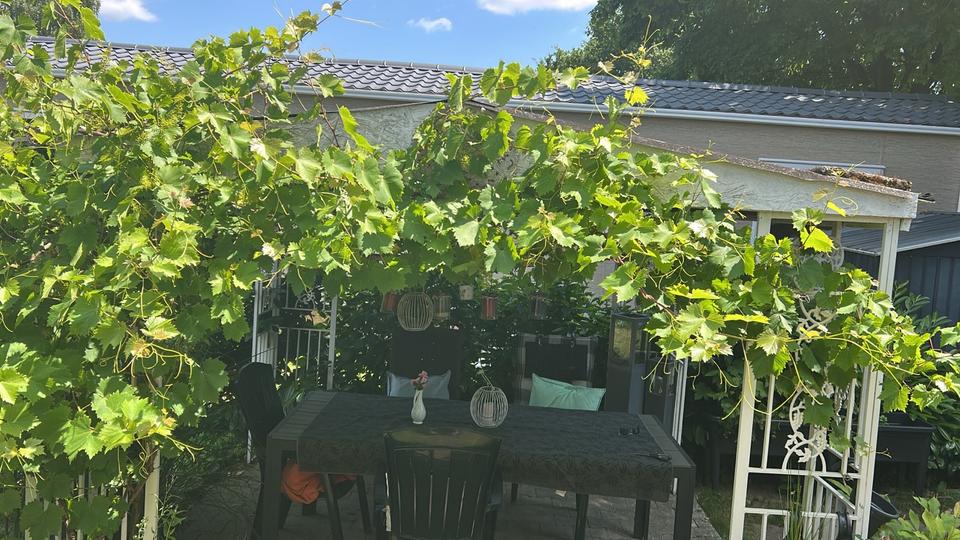 Ferienimmobilie Mülheim an der Ruhr Dümpten - 18.900&euro; | Angebot:26223075