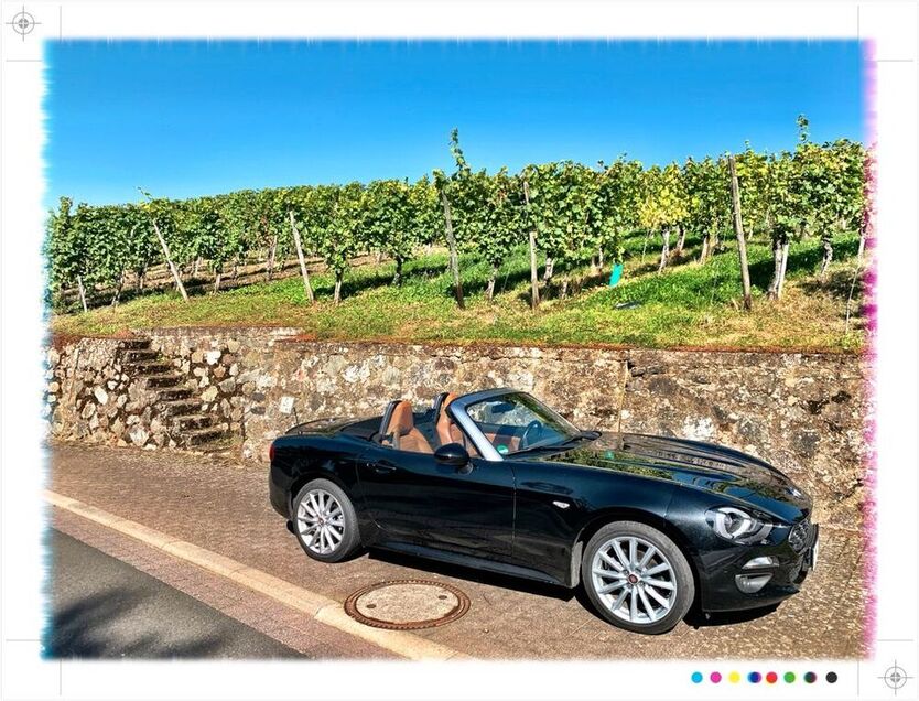 124 Spider