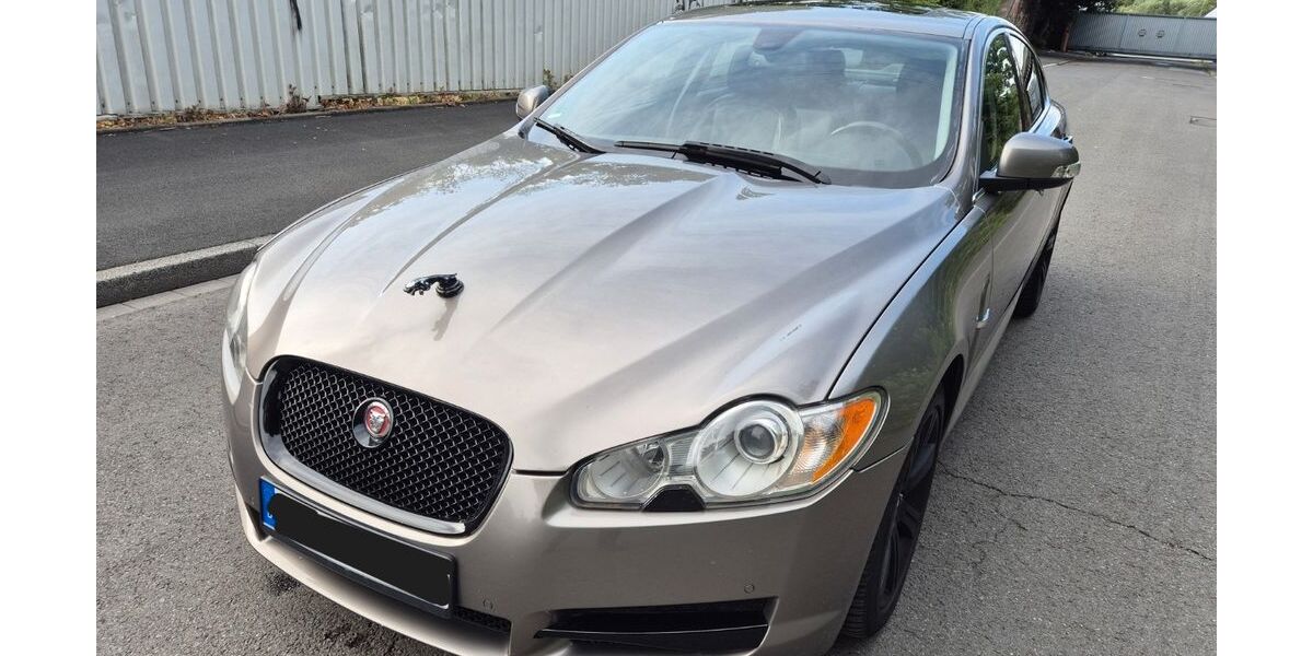 Jaguar XF 186.564 km 7.250 &euro; Dortmund 44147