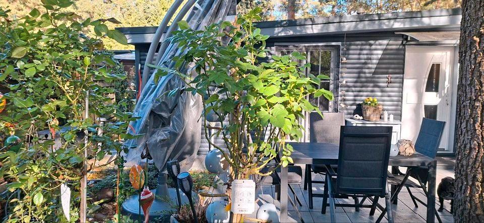Einfamilienhaus Olfen - 89.900&euro; | Angebot:26990976