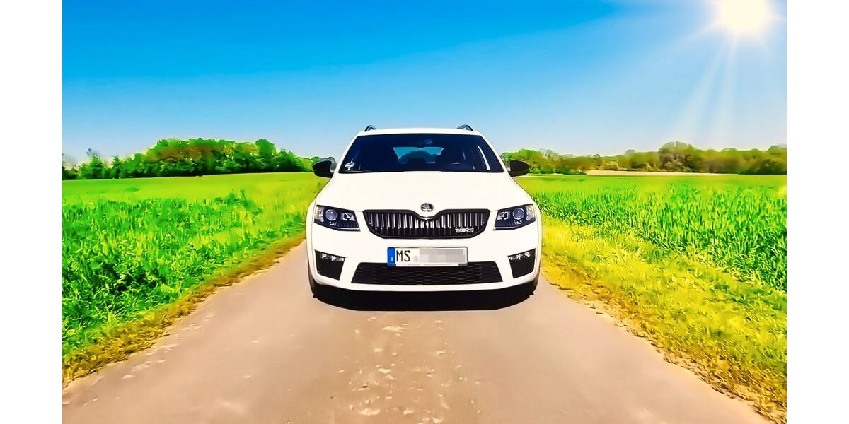 Skoda Octavia 233.253 km 8.999 &euro; Olfen 59399