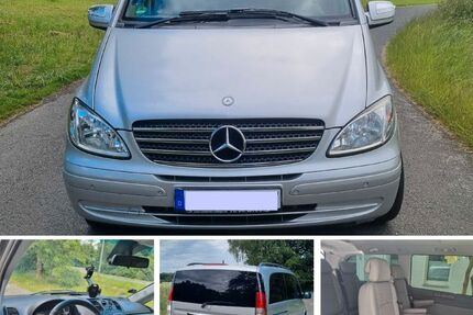 Mercedes Viano