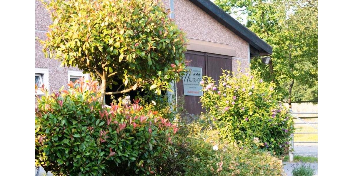 Ferienimmobilie Bottrop Feldhausen - 60&euro; | Angebot:26550019