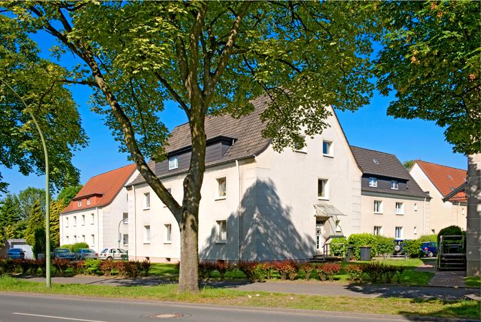 2-Zimmer-Wohnung in Herten Westerholt mit Laminat und Tapeten 2 zimmer