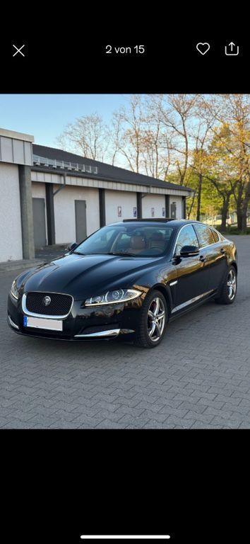 XF
