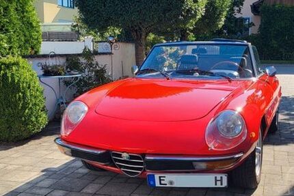 Alfa Romeo Spider