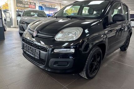 Fiat Panda 51.500 km 3.890 &euro; Essen 45128