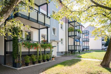 Neu! Neu! Neu! 2 zimmer