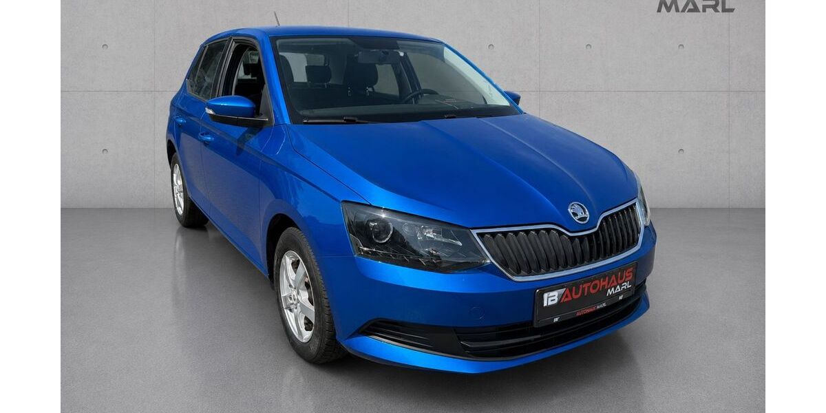 Skoda Fabia 72.800 km 8.500 &euro; Marl 45772