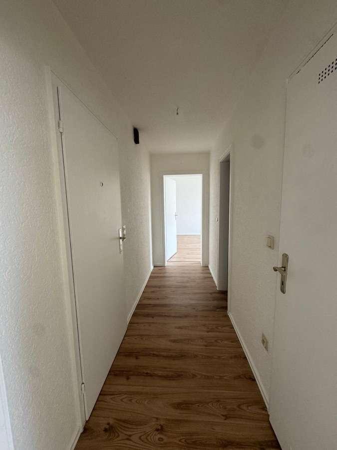 Frisch Renovierte 2-Zimmer Wohnung mit Stellplatz zu vermieten zimmer