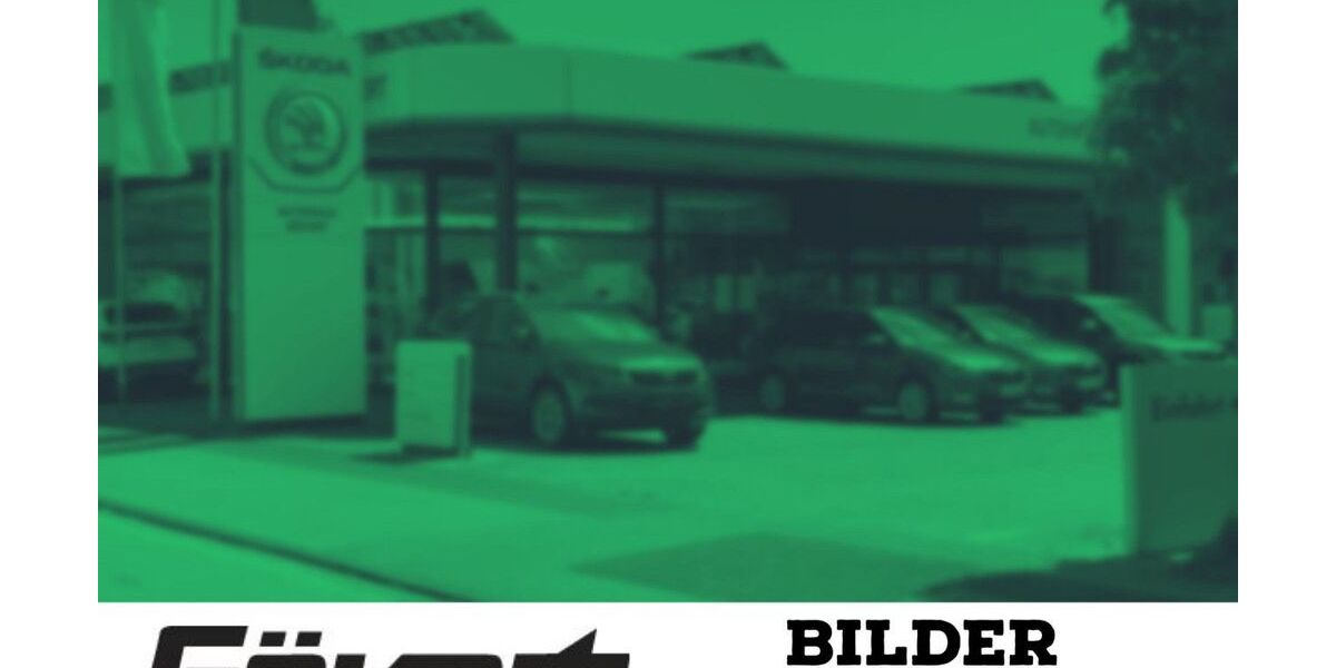 Skoda Fabia 50.550 km 11.490 &euro; Lünen 44534