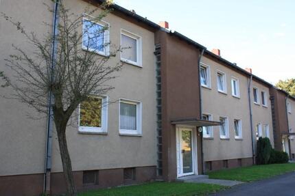 Wohnung Recklinghausen König Ludwig - 3.5 Zimmer, 59 m&sup2;, 421&euro; | Angebot:25956786