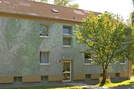 Wohnung zum Mieten in Recklinghausen 311,12 € 65 m²