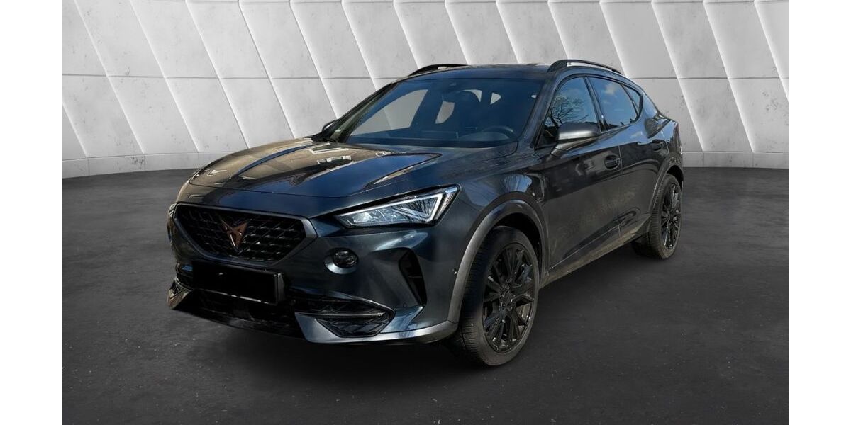 Cupra Formentor 38.000 km 28.500 &euro; Herten 45699